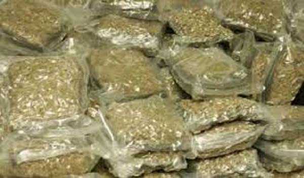 मोटर साइकिल सवार तीन युवकों से अवैध गांजा बरामद